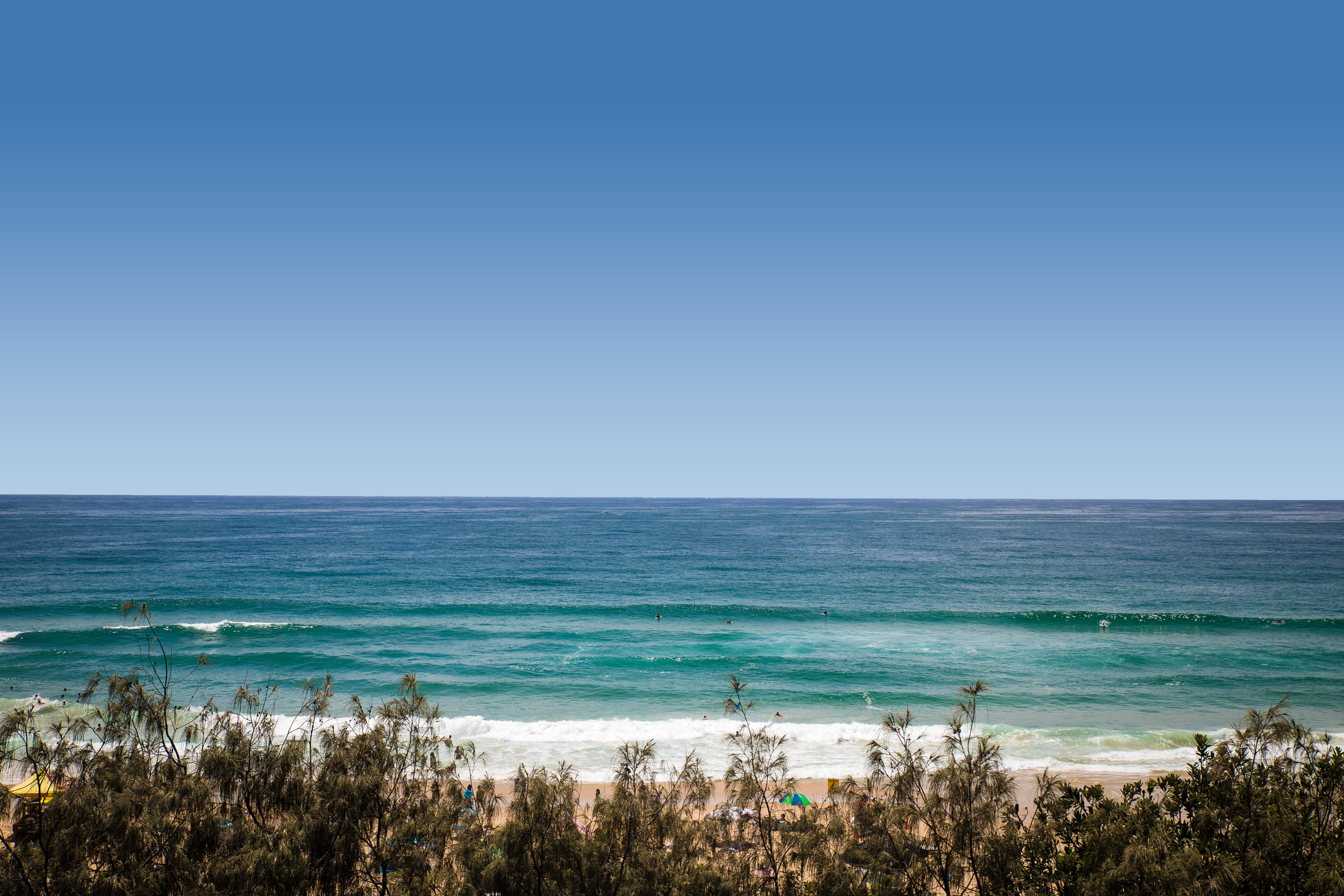 Sunshine Beach Surf Club